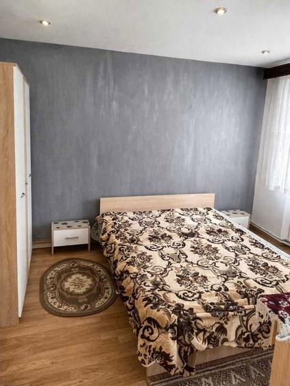 ULTRA-CENTRAL Petrosani! Apartament 2 Camere Modern, Renovat, Bloc Izolat, Lift Nou, 250 - 2