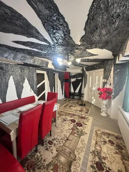 Apartament cu 2 intrari, beci 27 mp, mobilat Orasul Vechi - 14