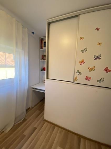 Cochet la intrare in Dumbravita - 13