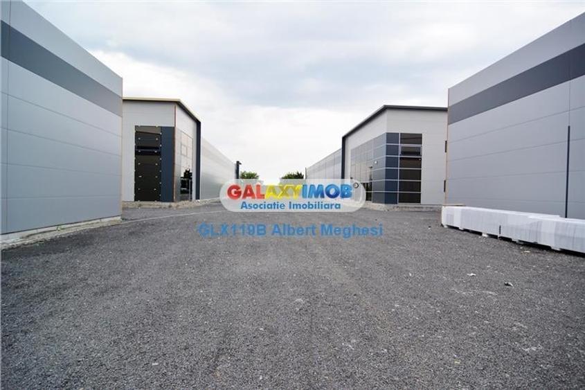 Vanzare Spatiu Depozitare/Hala Centura-Mogosoaia - 1