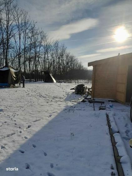 Vand teren cu anexa locuibila la padurea Scrovistea - 3