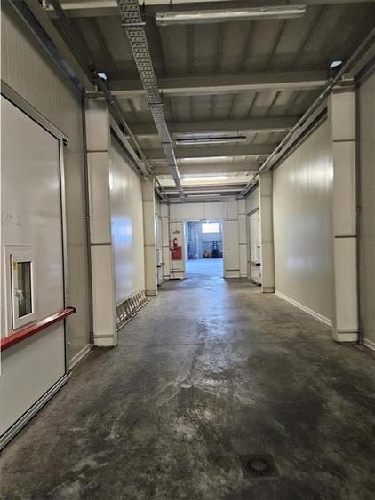 Spatii Frigorifice - 2000 mp - Depozitare - Refrigerare - 2