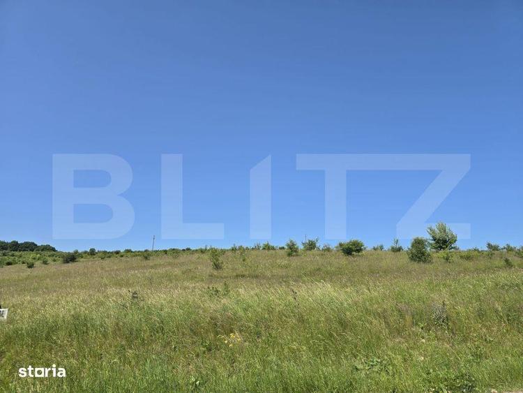 Teren intravilan construibil in Salicea - 6