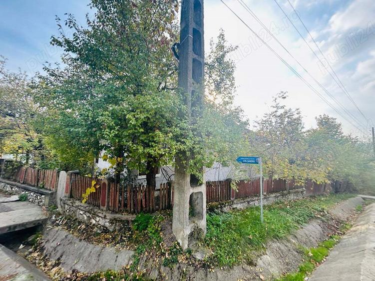 vand casa traditionala autentica in sat Milostea, judet Valcea, perisaje frumoase, zona linistita - 4
