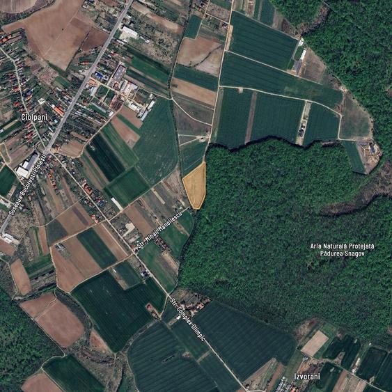 LOT DE VANZARE cu deschidere la padurea Snagov - 6