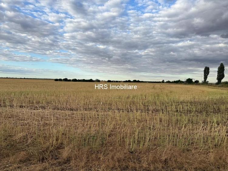 Teren intravilan Branesti - 2