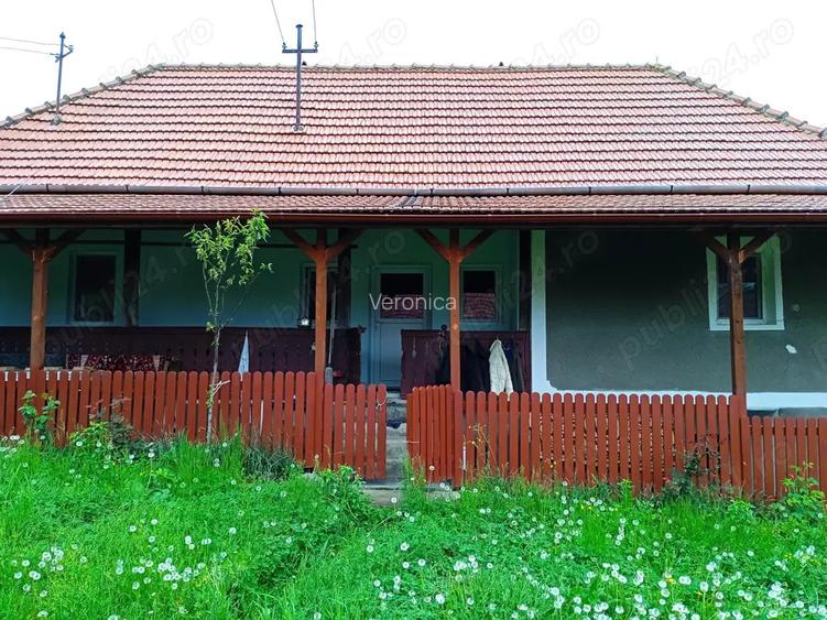 De vanzare casa la tara