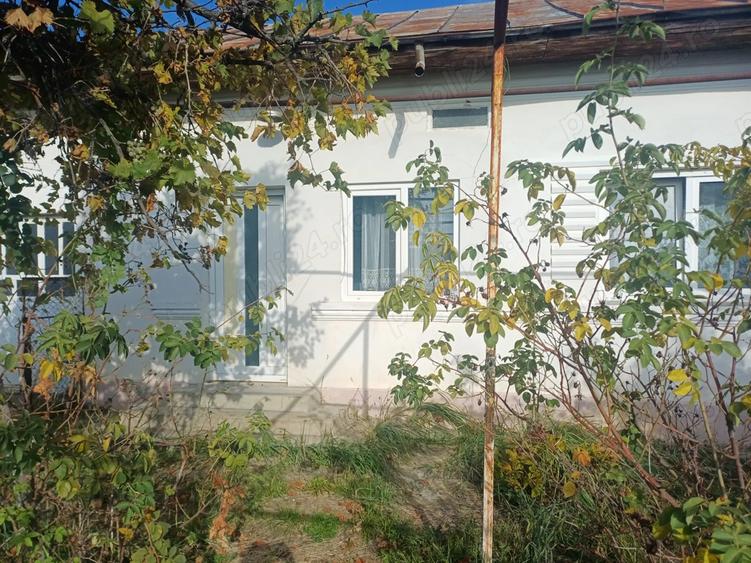 Vand casa comuna Cocu,sat Crucisoara - 4