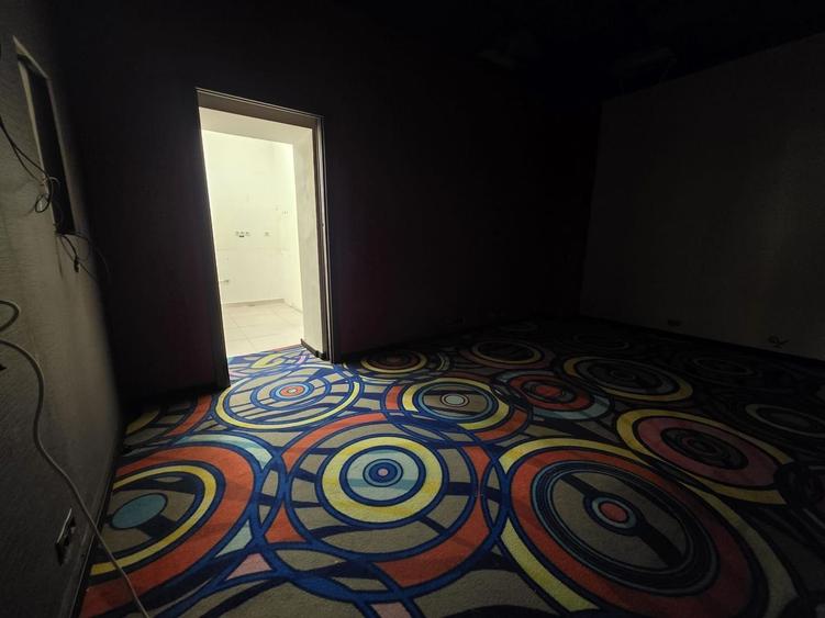 Ion mihalache piata  1 mai 150mp parter - 5