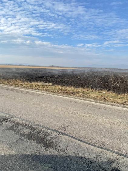 Vand teren agricol Halchiu - 1