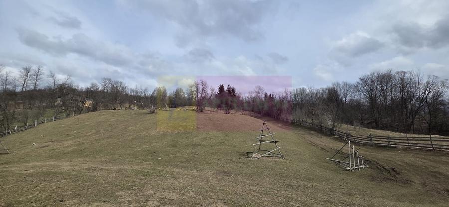 Teren intravilan 2200 mp de vanzare in Valea Doftanei - 1