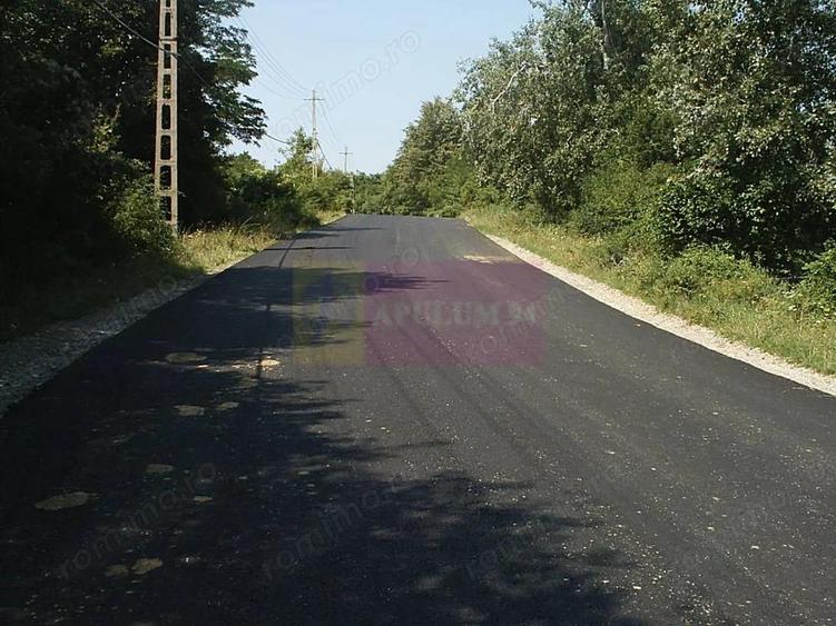 Teren intravilan de vanzare in Telega - 13