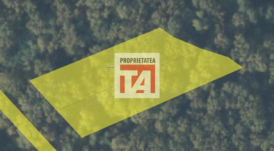 Padure Lapusel 48 ari - 1