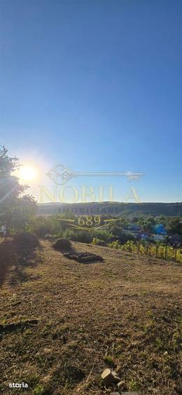 Teren intravilan + extravilan 10.537 mp casa, livada sau ferma de fa - 4