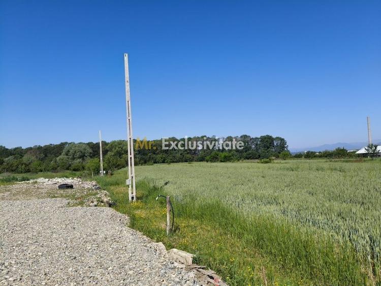 Teren agricol intravilan de 10294 mp, în Sud