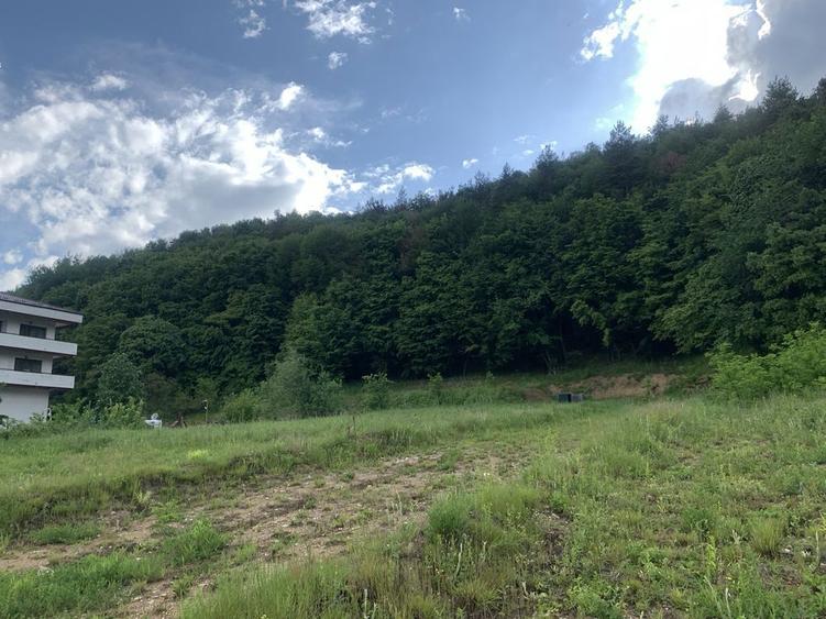 Teren pensiune, casa. de vacanta Maracineni - 7