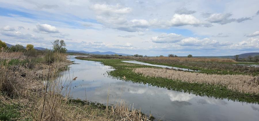 Teren Rotbav  str. Ștefan cel Mare – 3668 mp, intravilan cu deschidere la lac. - 6