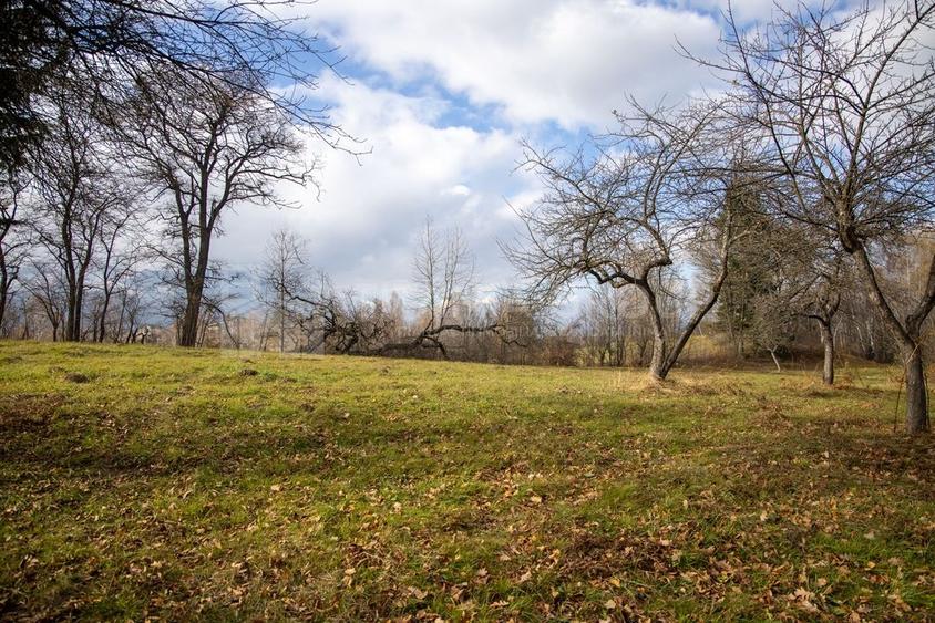 Teren intravilan, cu PUZ, Bran Tohanita,  SE ACCEPTĂ ȘI SCHIMB - 21