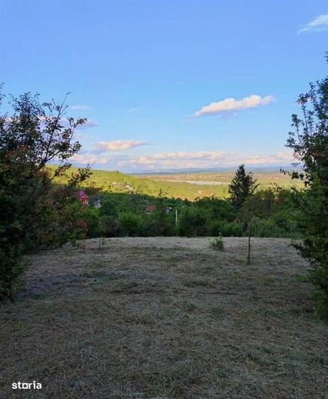 Teren Intravilan Podgoria - 1