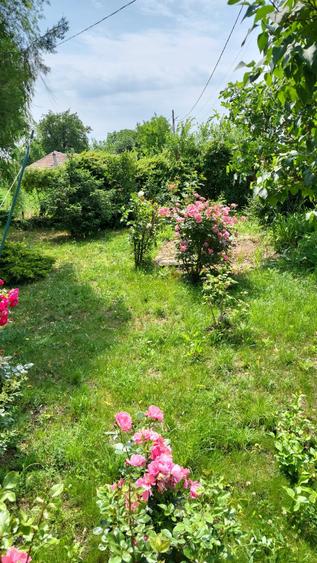 Casa P+M  6  camere + Sat Prunaru Jud Teleorman  la 49 km de Bucuresti - 3