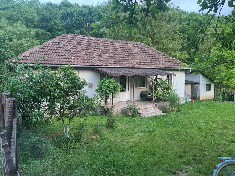 Vand casa cu gradina - 6