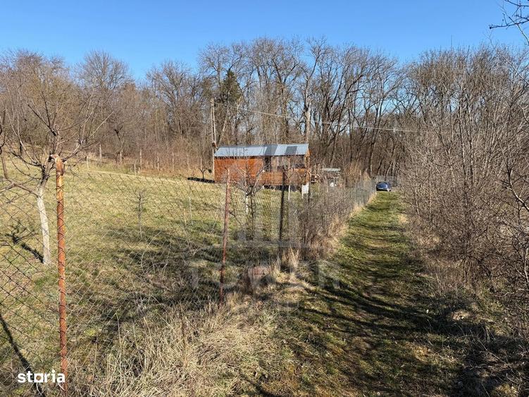 Teren intravilan de vanzare - Ocna Sibiului - 12