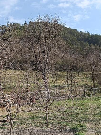 Vand doua case pe o curte, Nicula jud Cluj - 8