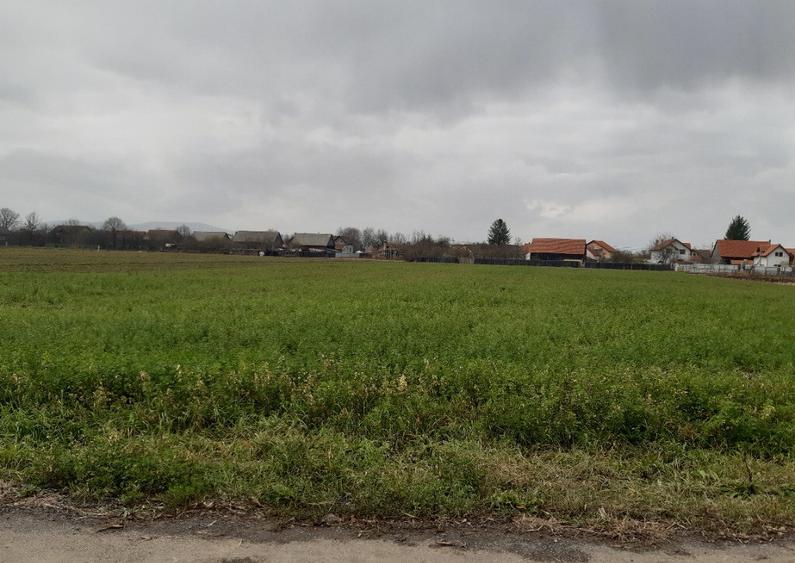 Teren intravilan central utilitati construibil Lunca Calnicului 2325mp - 2