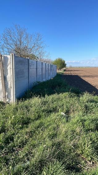 Teren intravilan Dascalu , 18000 m /17€ m2  - 1