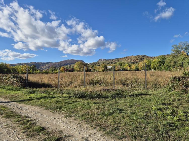 Teren de Vanzare, intravilant - 4