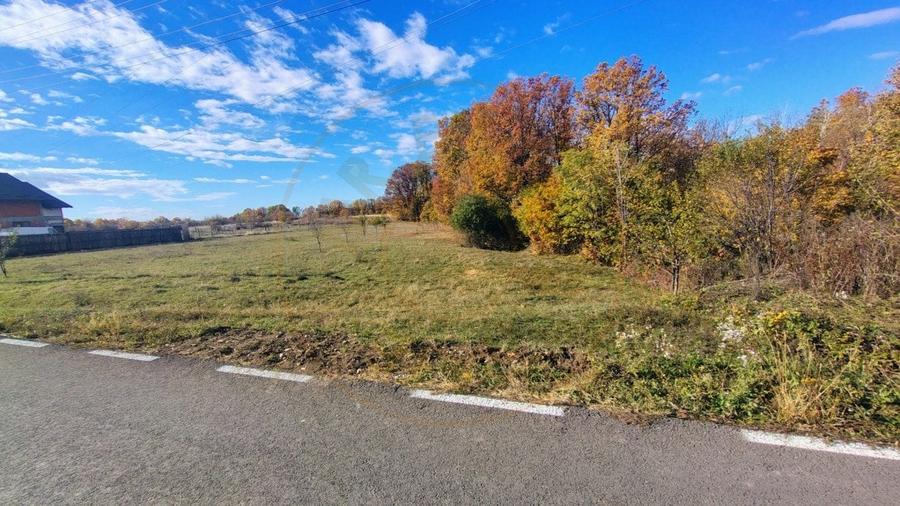 Teren Arges - Mosoaia - 9