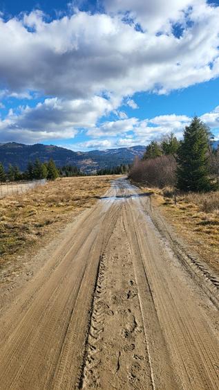 Teren de vanzare Saru Dornei 2euro / mp - 2