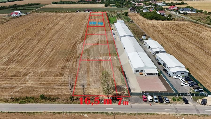 CIOLPANI Lot 500 MP