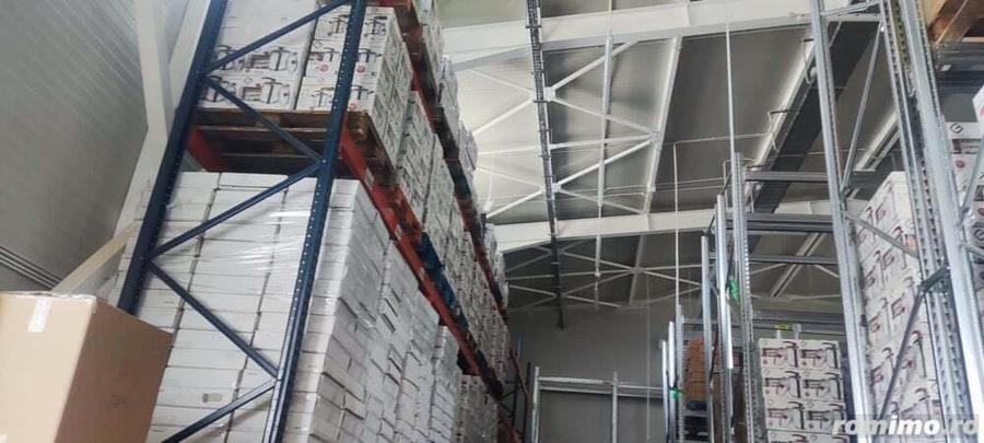 Hale noi 475 mp Afumati -Doraly - 8