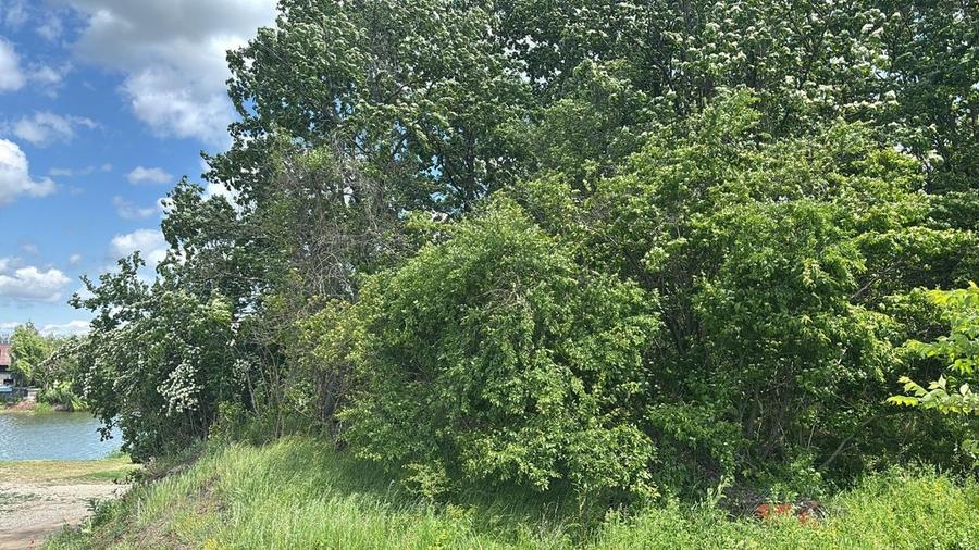 Corbeanca (Tamasi), teren intravilan langa lac si padure - 4