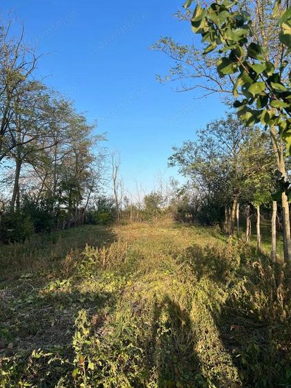 Galbinasi - jud. Calarasi, casa vanzare - 9