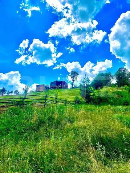 Cabana Tiny House, cu 2 ha teren intravilan, in Bucovina, Moldovita - 6