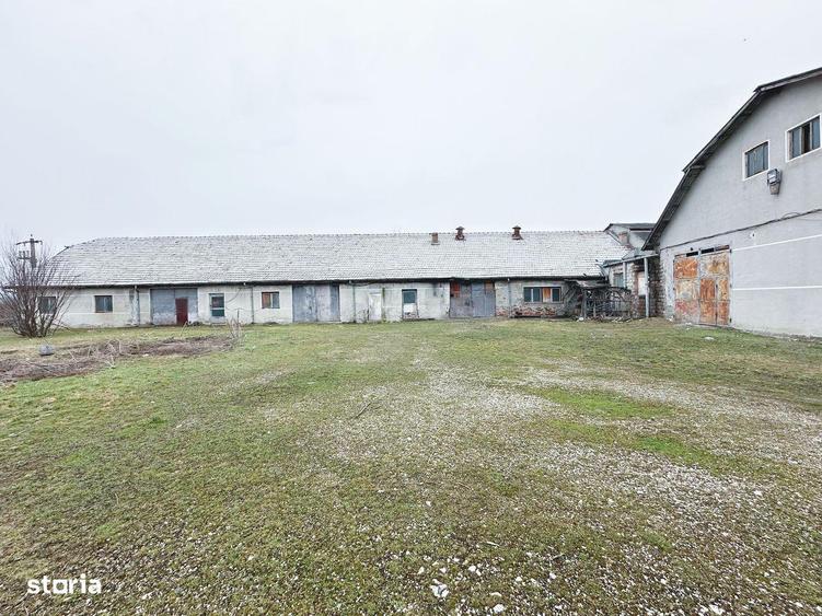 Fabrica DE VANZARE in Tarnaveni - 8