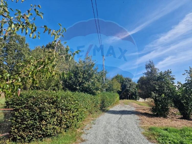 OCAZIE.  De vanzare teren în Cicarlau - Strada 1 Mai - super pret - 1