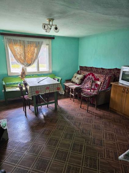 Vand teren pentru casa sau teren cu una sau doua case in comuna Bocsig, judetul Arad - 3