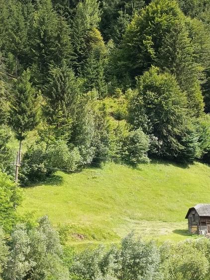 Teren intravilan - 5