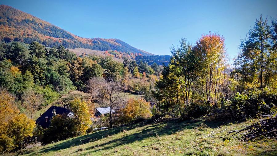 🌲 Teren 3600 mp langa Piatra Neamț, la asfalt, utilitati - 3