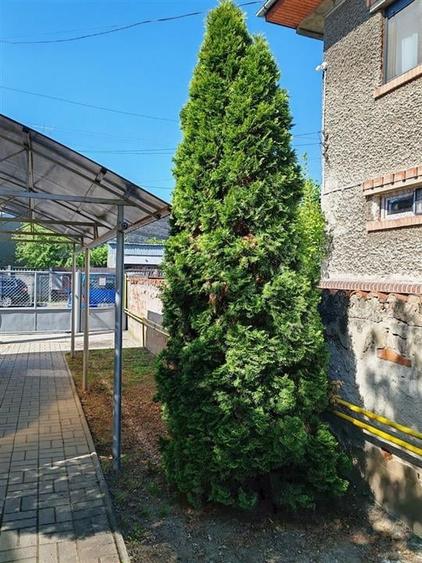 Apartament 4 camere ultracentral, Ploiesti, parter in vila - 23