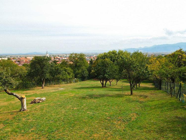 Teren / Parcele (924mp) de vanzare in Codlea - Strada Nicolae Balcescu - 5
