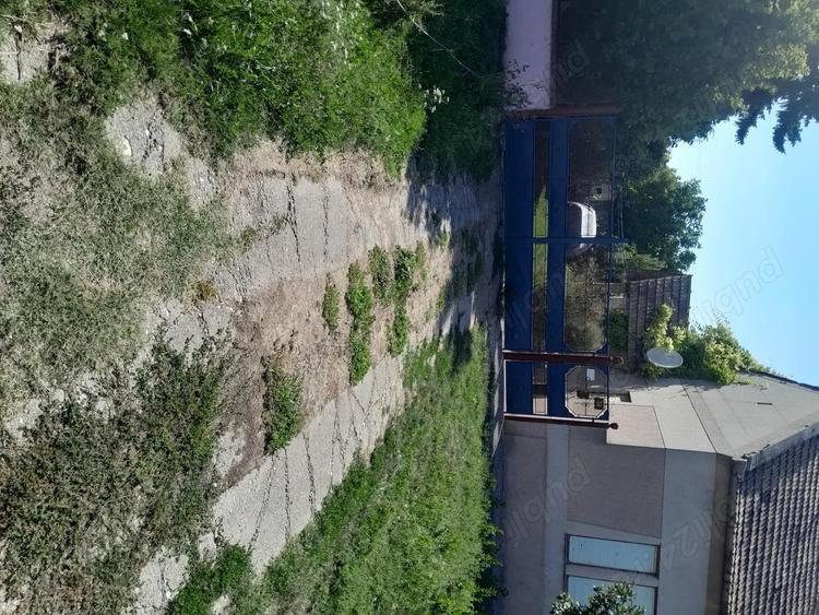 Vind Casa in Serbia 10 km de grani?a cu Jimbolia - 4