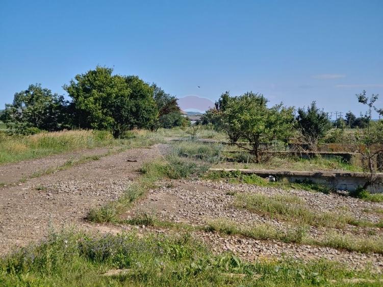 Spatiu industrial de 480mp+teren de 15069mp in Dornesti, Suceava - 15