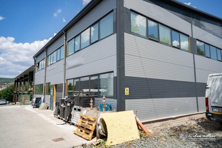 Hale in parcul Tetarom I - 2