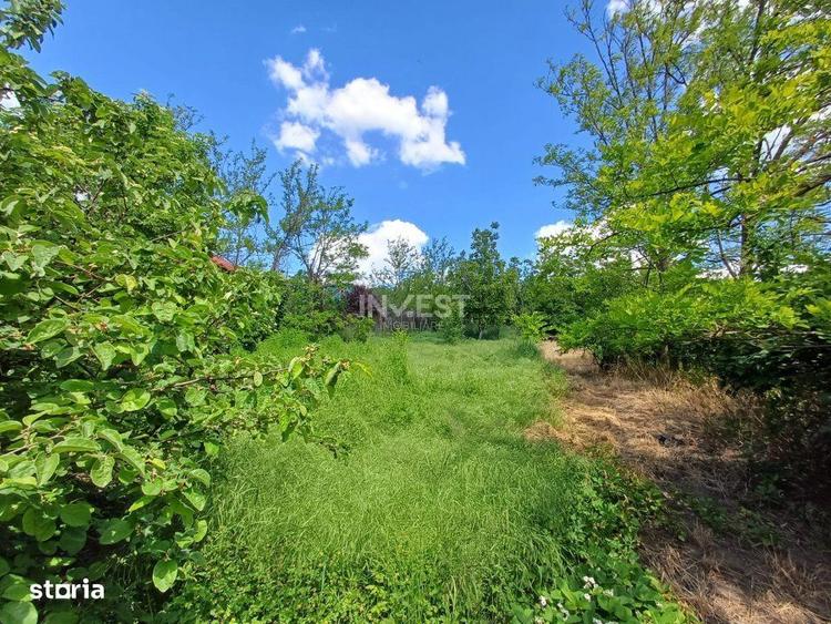 Teren Intravilan, 602 Mp, Rediu - 3