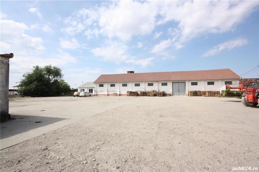 De inchiriat spatiu comercial in Sannicolau Mare - 2