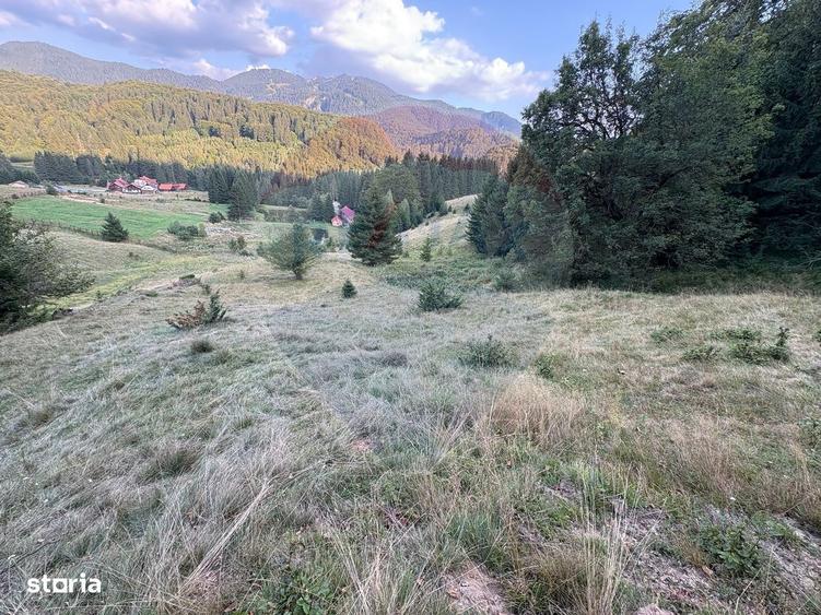 TEREN EXCLUSIV PENTRU INVESTI?IE IN ZONA DE AGREMENT BRA?OV, DN 1E - 7